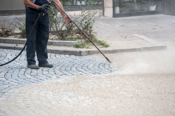 Best Pre-Holiday Cleaning  in Avon, OH